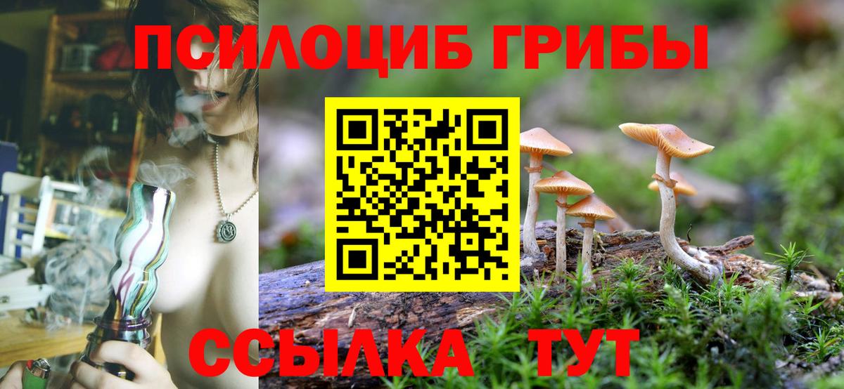 Псилоцибиновые грибы MAGIC MUSHROOMS  Вход с VPN  Мурманск 